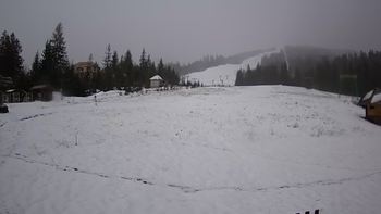 Пилипець 13 грудня 2019 року, 2019-12-13 13:00