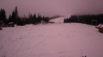 Пилипець 29 грудня 2019 року, 2019-12-29 16:00