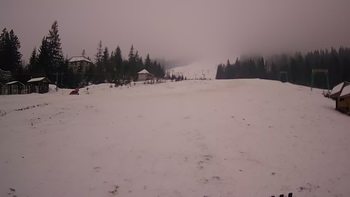 Пилипець 9 січня 2020 року, 2020-01-09 16:00