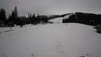 Пилипець 20 січня 2020 року, 2020-01-20 13:00
