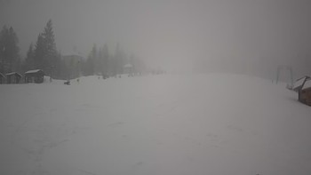 Пилипець 31 січня 2020 року, 2020-01-31 10:00
