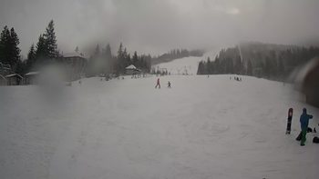 Пилипець 31 січня 2020 року, 2020-01-31 13:00