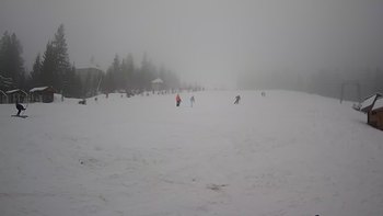 Пилипець 1 лютого 2020 року, 2020-02-01 10:00