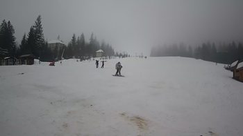Пилипець 1 лютого 2020 року, 2020-02-01 16:00