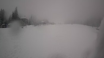 Пилипець 4 лютого 2020 року, 2020-02-04 16:00