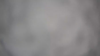 Пилипець 11 лютого 2020 року, 2020-02-11 10:00