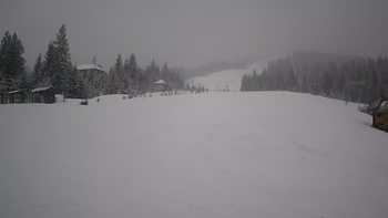 Пилипець 28 лютого 2020 року, 2020-02-28 16:00