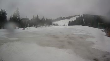 Пилипець 2 березня 2020 року, 2020-03-02 13:00
