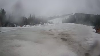 Пилипець 4 березня 2020 року, 2020-03-04 13:00