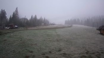 Пилипець 6 травня 2020 року, 2020-05-06 13:00