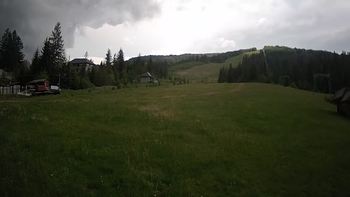 Пилипець 11 червня 2020 року, 2020-06-11 13:00