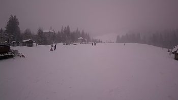 Пилипець 25 грудня 2021 року, 2021-12-25 16:00