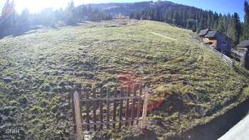 Пилипець 31 жовтня 2025 року, 2025-10-31 10:00