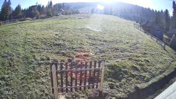 Пилипець 1 листопада 2025 року, 2025-11-01 13:00