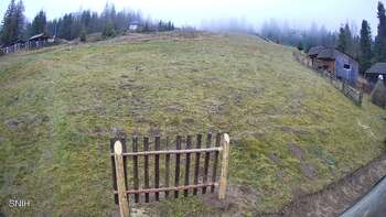 Пилипець 11 листопада 2025 року, 2025-11-11 10:00