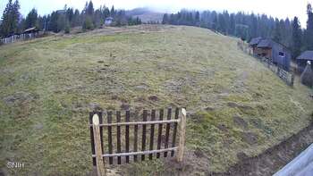 Pyłypeć 11 listopad 2025 rok 16:00