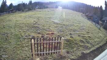 Пилипець 13 листопада 2025 року, 2025-11-13 13:00