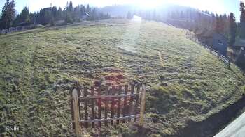 Пилипець 14 листопада 2025 року, 2025-11-14 13:00