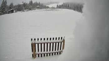 Пилипець 23 листопада 2025 року, 2025-11-23 10:00