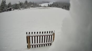 Пилипець 23 листопада 2025 року, 2025-11-23 13:00