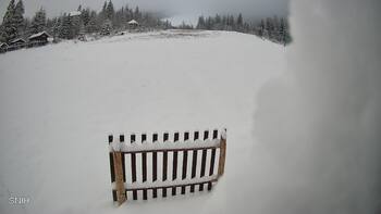 Пилипець 23 листопада 2025 року, 2025-11-23 16:00