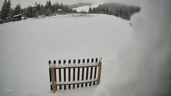 Пилипець 24 листопада 2025 року, 2025-11-24 10:00