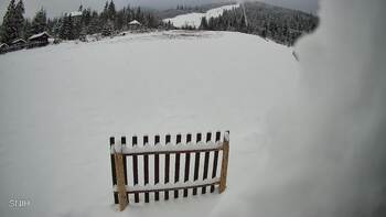 Пилипець 24 листопада 2025 року, 2025-11-24 13:00