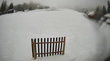 Пилипець 25 листопада 2025 року, 2025-11-25 10:00