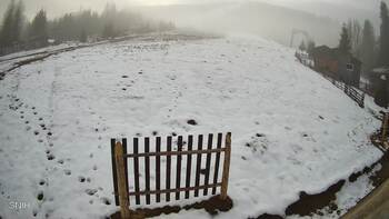 Пилипець 29 листопада 2025 року, 2025-11-29 10:00