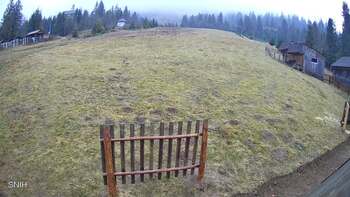 Пилипець 18 грудня 2025 року, 2025-12-18 13:00