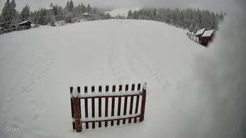 Пилипець 6 січня 2026 року, 2026-01-06 10:00