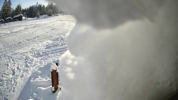 Пилипець 15 січня 2026 року, 2026-01-15 13:00