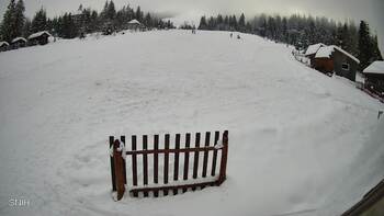 Пилипець 16 січня 2026 року, 2026-01-16 13:00