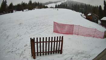 Pylypets 30 january 2026 year 16:00