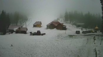 Ільз 10 березня 2019 року, 2019-03-10 16:00