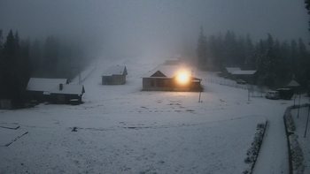 Ільз 10 грудня 2019 року, 2019-12-10 16:00