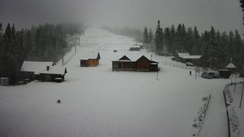 Ільз 11 грудня 2019 року, 2019-12-11 10:00