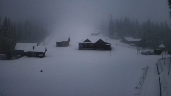 Ільз 11 грудня 2019 року, 2019-12-11 16:00