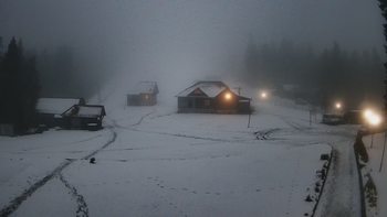 Ільз 14 грудня 2019 року, 2019-12-14 16:00