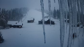 Ільз 28 грудня 2019 року, 2019-12-28 16:00