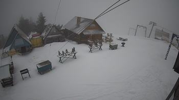 Тростян 14 березня 2019 року, 2019-03-14 10:00