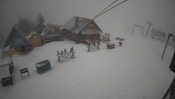 Тростян 15 березня 2019 року, 2019-03-15 10:00