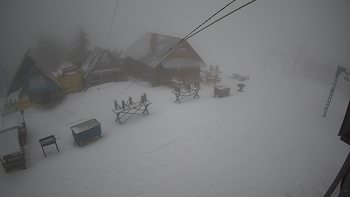 Тростян 15 березня 2019 року, 2019-03-15 13:00