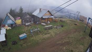 Тростян 29 квітня 2019 року, 2019-04-29 13:00