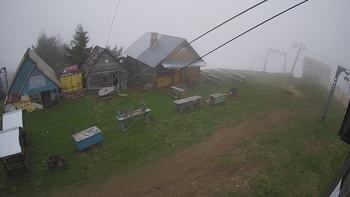 Тростян 13 травня 2019 року, 2019-05-13 10:00
