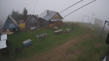 Тростян 13 травня 2019 року, 2019-05-13 16:00