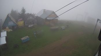 Тростян 14 травня 2019 року, 2019-05-14 10:00