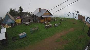 Тростян 25 травня 2019 року, 2019-05-25 10:00