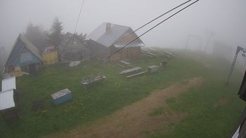 Тростян 9 червня 2019 року, 2019-06-09 10:00