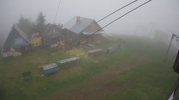 Тростян 17 червня 2019 року, 2019-06-17 10:00